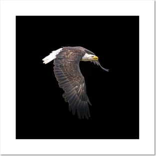 Golden Eagle Bird Animal Wildlife Forest Nature Travel Digital Painting Posters and Art